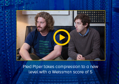 Pied Piper Homepage
